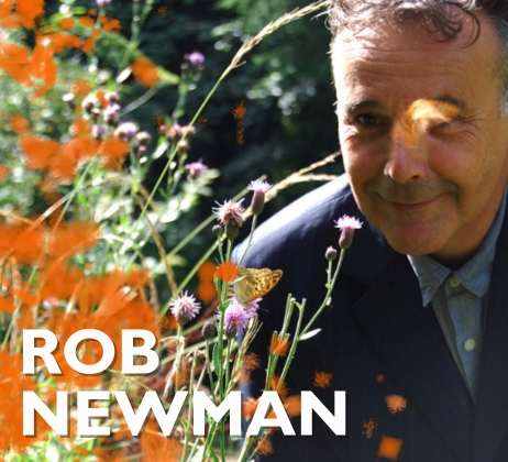 rob newman