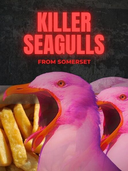 KILLER SEAGULLS (from Somerset) a Weirdos Comedy Halloween Special